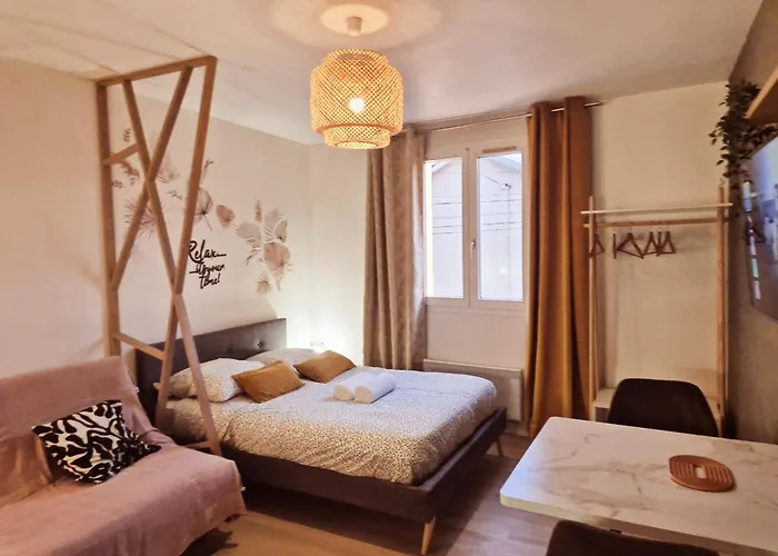 Appartement Eden Bohème - Chu, Parc Des Expos, Parking, Netflix *