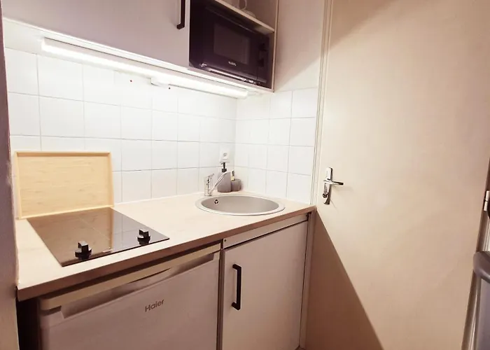 Appartement Eden Bohème - Chu, Parc Des Expos, Parking, Netflix *